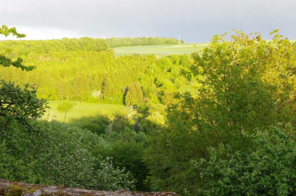 B&B Chez Fouchs - Chambre D'Hotes Dun-sur-Meuse Eksteriør bilde