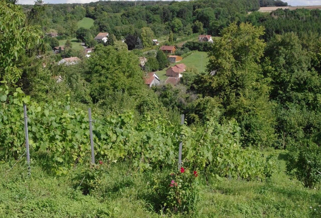 B&B Chez Fouchs - Chambre D'Hotes Dun-sur-Meuse Eksteriør bilde
